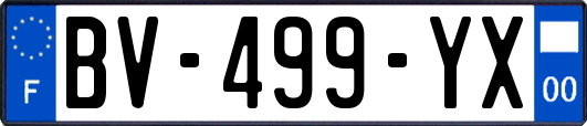 BV-499-YX