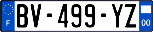 BV-499-YZ