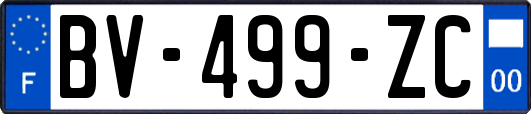 BV-499-ZC