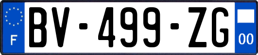 BV-499-ZG