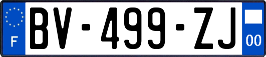 BV-499-ZJ