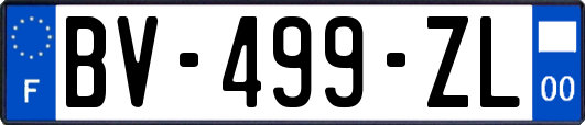 BV-499-ZL