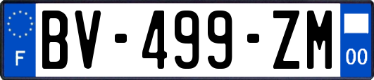 BV-499-ZM