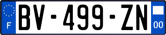 BV-499-ZN