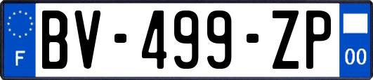 BV-499-ZP