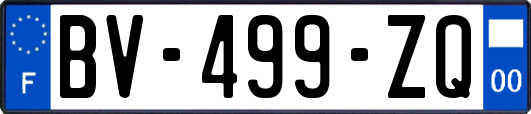 BV-499-ZQ