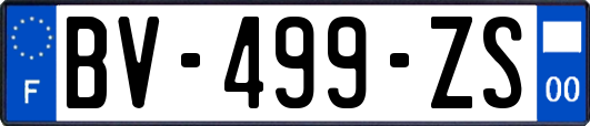 BV-499-ZS