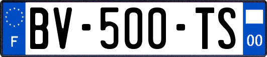 BV-500-TS