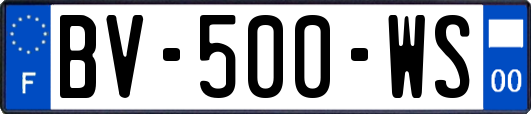 BV-500-WS