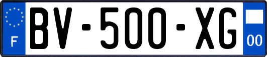 BV-500-XG