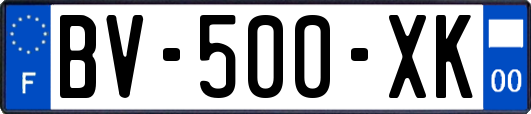 BV-500-XK