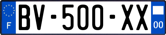 BV-500-XX