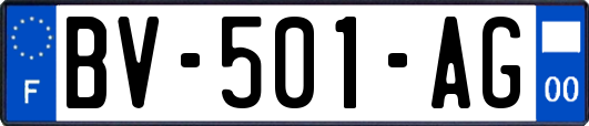 BV-501-AG