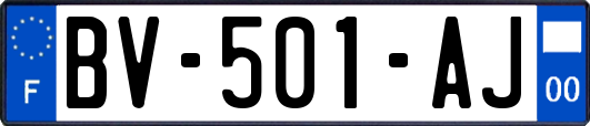 BV-501-AJ