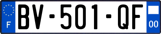 BV-501-QF