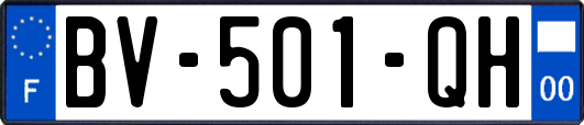 BV-501-QH