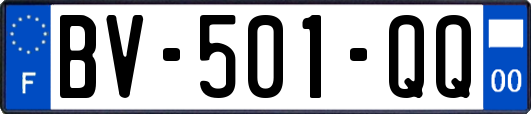 BV-501-QQ