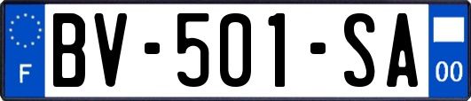 BV-501-SA