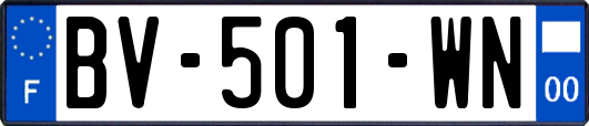 BV-501-WN