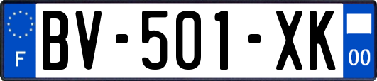 BV-501-XK