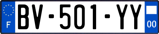 BV-501-YY