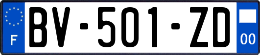 BV-501-ZD