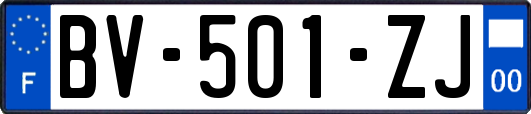 BV-501-ZJ