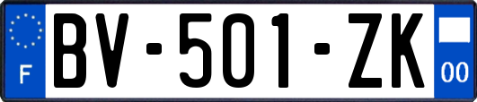 BV-501-ZK