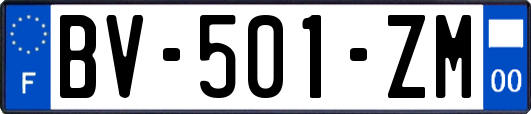 BV-501-ZM