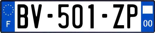 BV-501-ZP