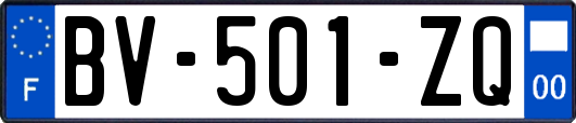 BV-501-ZQ