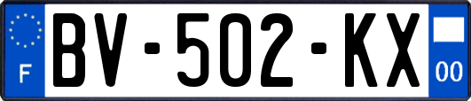 BV-502-KX
