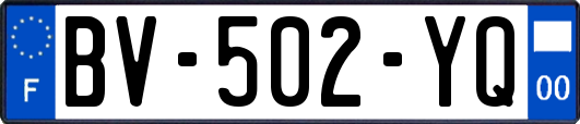 BV-502-YQ