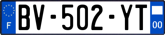 BV-502-YT