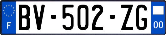 BV-502-ZG