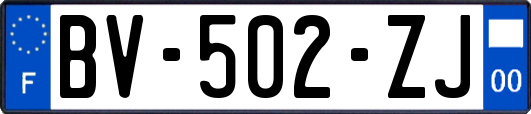 BV-502-ZJ