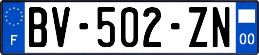 BV-502-ZN