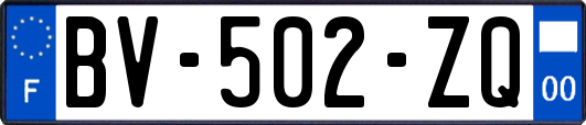 BV-502-ZQ