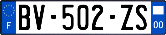 BV-502-ZS