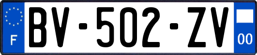 BV-502-ZV