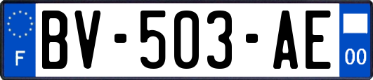 BV-503-AE