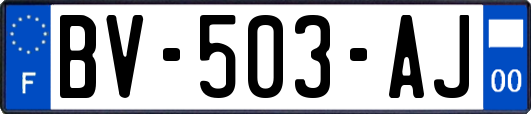 BV-503-AJ