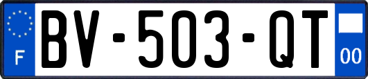 BV-503-QT