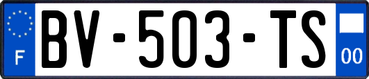 BV-503-TS