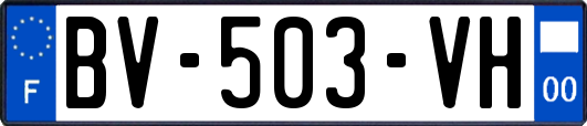 BV-503-VH