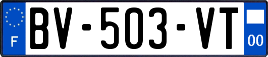 BV-503-VT