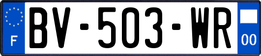 BV-503-WR