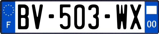 BV-503-WX