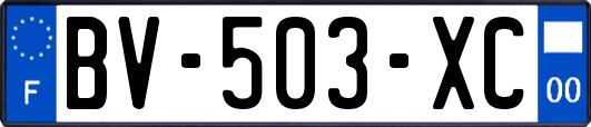 BV-503-XC