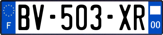 BV-503-XR